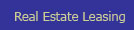 Real Estate Leasing